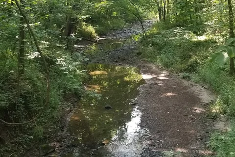Knob Noster State Park