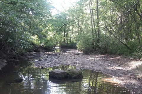 Knob Noster State Park