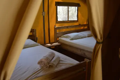 Camp LeConte Luxury Outdoor Resort
