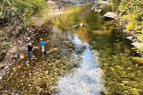 Wilderness Cove Campground