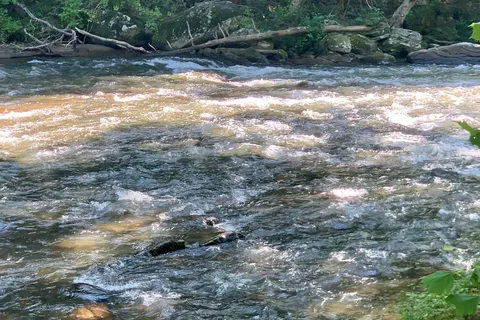 Wilderness Cove Campground