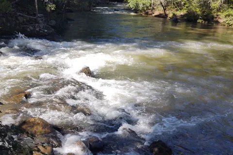 Wilderness Cove Campground