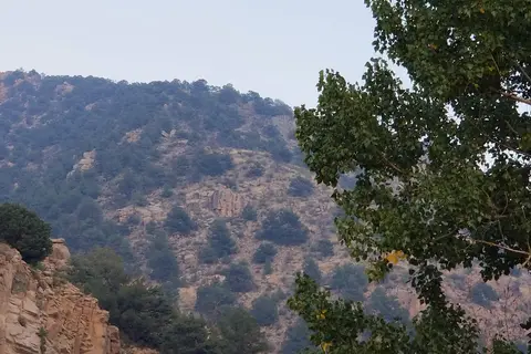Bighorn RV Park