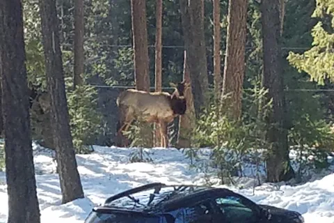 Valhalla Pines Campground