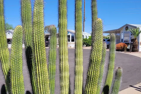 Silveridge RV Resort (55+)