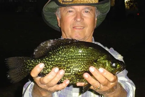 Lake Rousseau RV Park