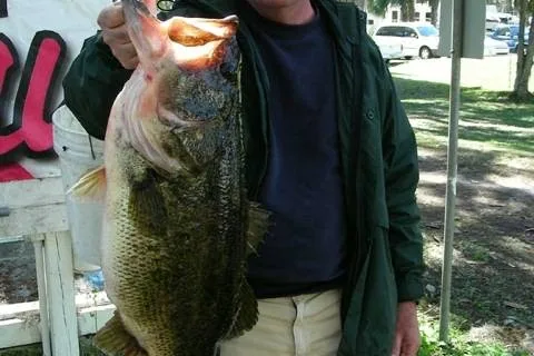 Lake Rousseau RV Park