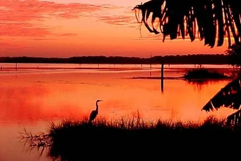 Lake Rousseau RV Park