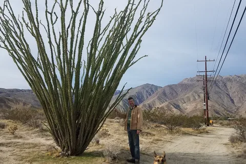 Oasis Inn Borrego