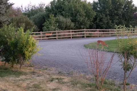 Indian Creek RV Park and Campground