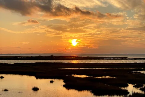 Oceanside - Assateague Island National Seashore