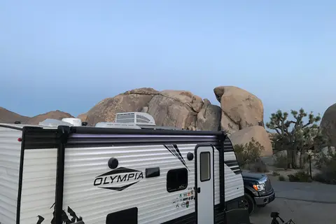 Belle - Joshua Tree National Park