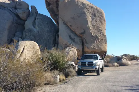 Belle - Joshua Tree National Park