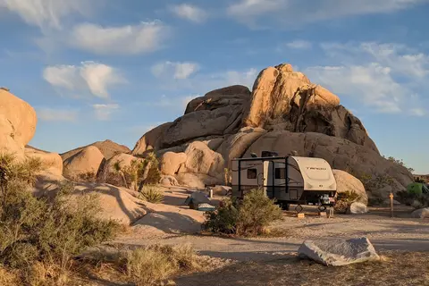 Belle - Joshua Tree National Park