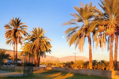 Oasis Palms RV Park