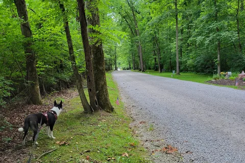Olive Branch Campground