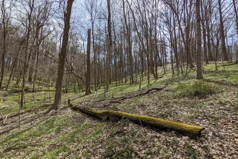 Tappan Lake Park Muskingum Watershed Conservancy Dist