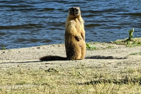 Monck Provincial Park