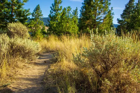 Monck Provincial Park