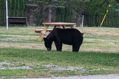 Austin Campground