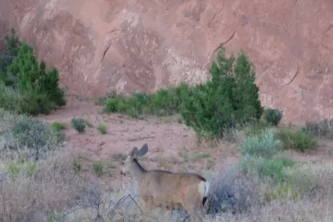 Devils Garden Campground - Arches National Park