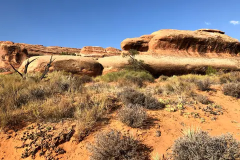 Devils Garden Campground - Arches National Park