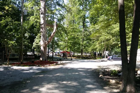 Woodys Camp and Bait