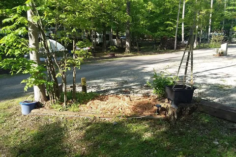 Woodys Camp and Bait