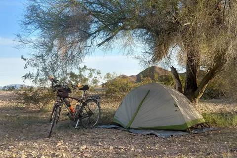 Desert Gardens International RV and Mobile Home Park