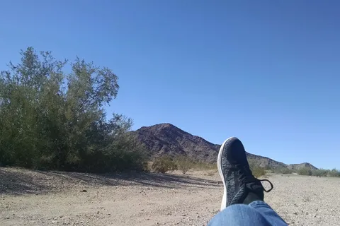 Desert Gardens International RV and Mobile Home Park