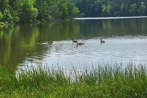 Chester State Park