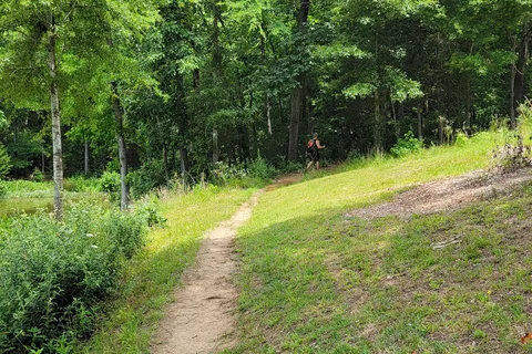 Chester State Park