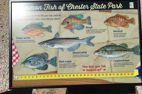 Chester State Park