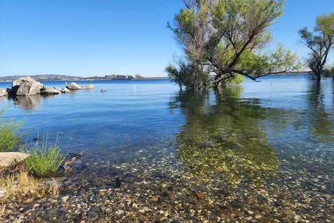 Beals Point - Folsom Lake State Recreational Area
