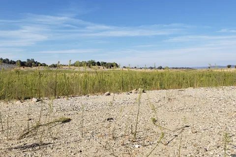 Beals Point - Folsom Lake State Recreational Area