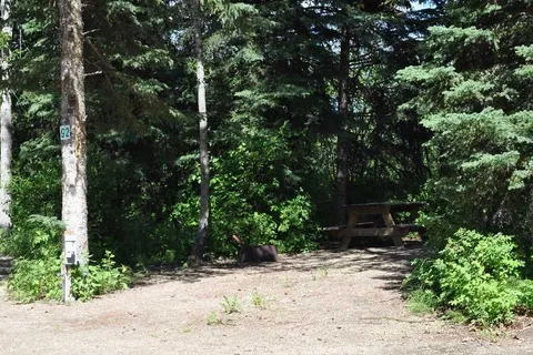 Sagitawah RV Park and Campground