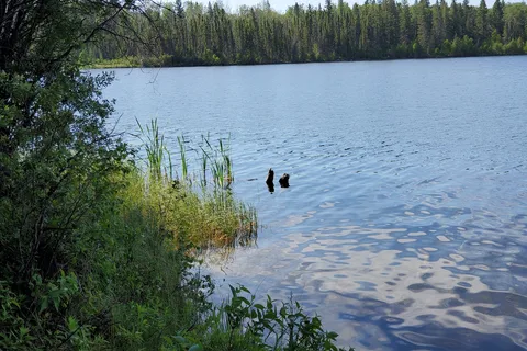 Anderson Point - Anglin Lake Provincial Rec Site