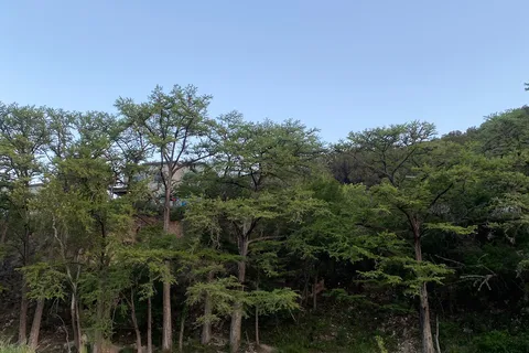 Magers River Camp