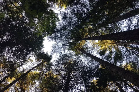 Bamberton Provincial Park