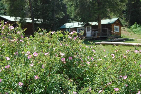 Ute Lodge