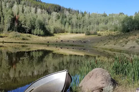 Ute Lodge
