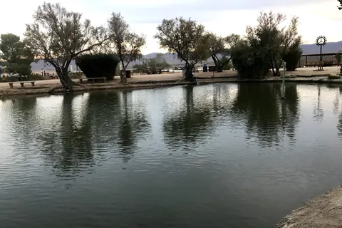 Joshua Tree Lake RV & Campground