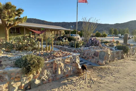 Joshua Tree Lake RV & Campground
