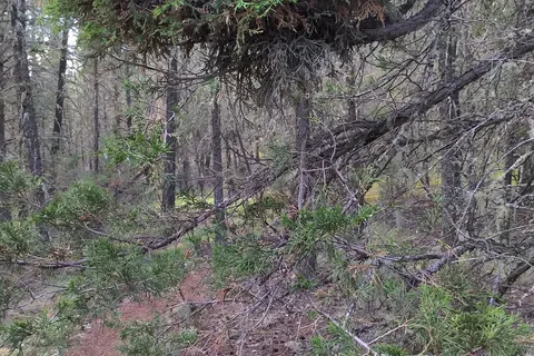 Dry Gulch Provincial Park