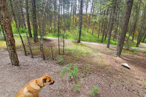 Dry Gulch Provincial Park