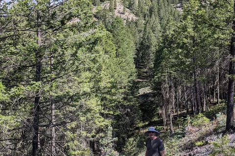 Dry Gulch Provincial Park