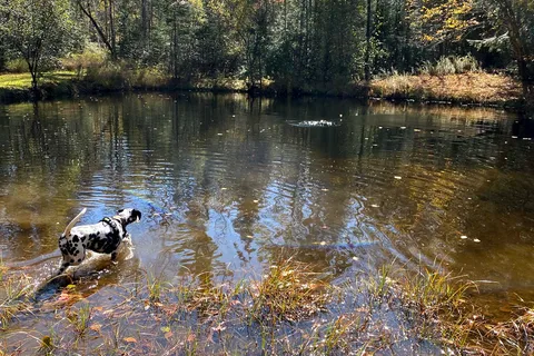 Apple Hill Campground
