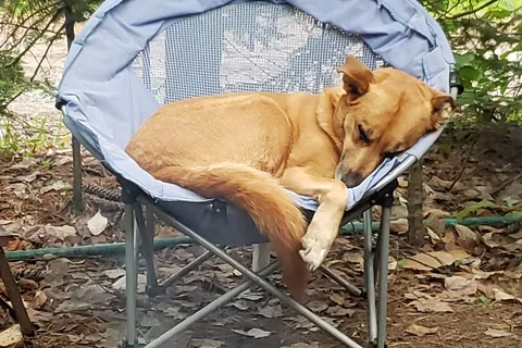 Apple Hill Campground