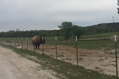 Bison Hill Ranch