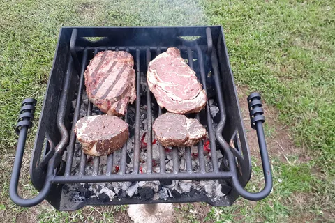 Dan River Campground and River Adventures